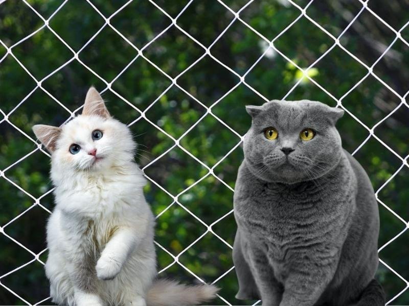 Telas de proteção residencial em Jundiaí