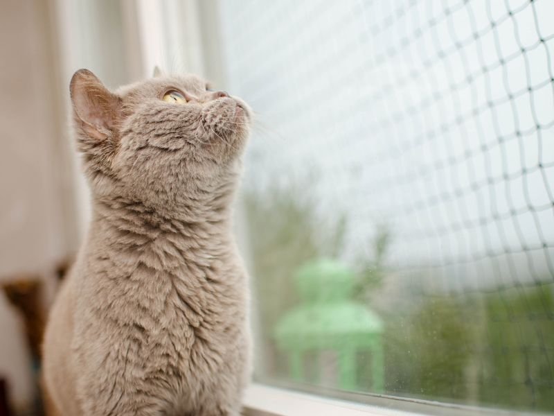 Redes de proteção para Sacadas em Jundiaí