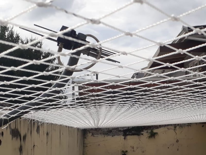Garanta a segurança de animais com tela de proteção em Jundiaí