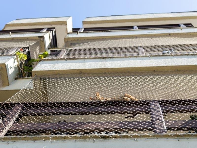 Rede de Proteção para Janelas Louveira Redes de Proteção Louveira
