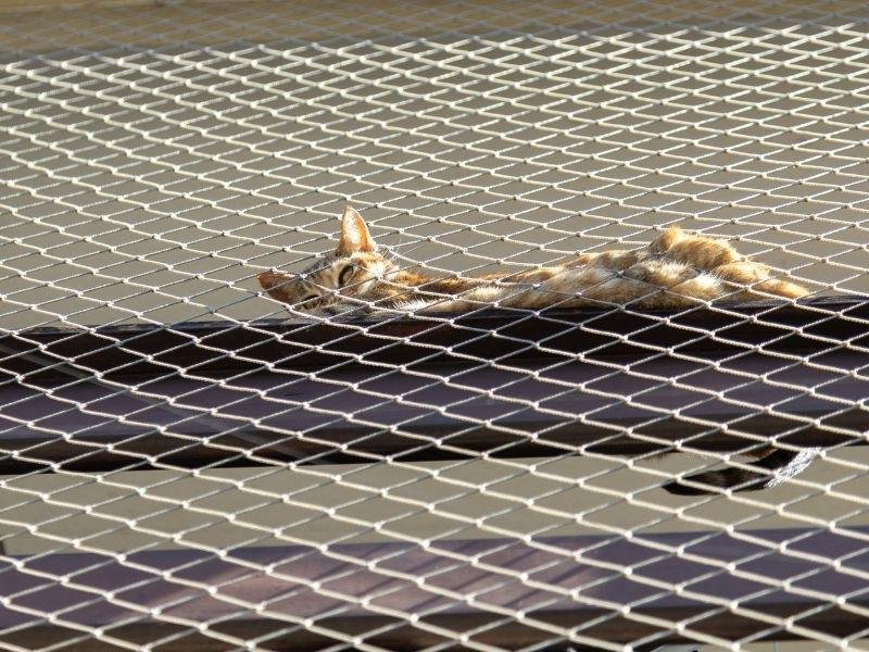 Telas de Segurança para Janelas Jundiaí Redes de Proteção Jundiaí