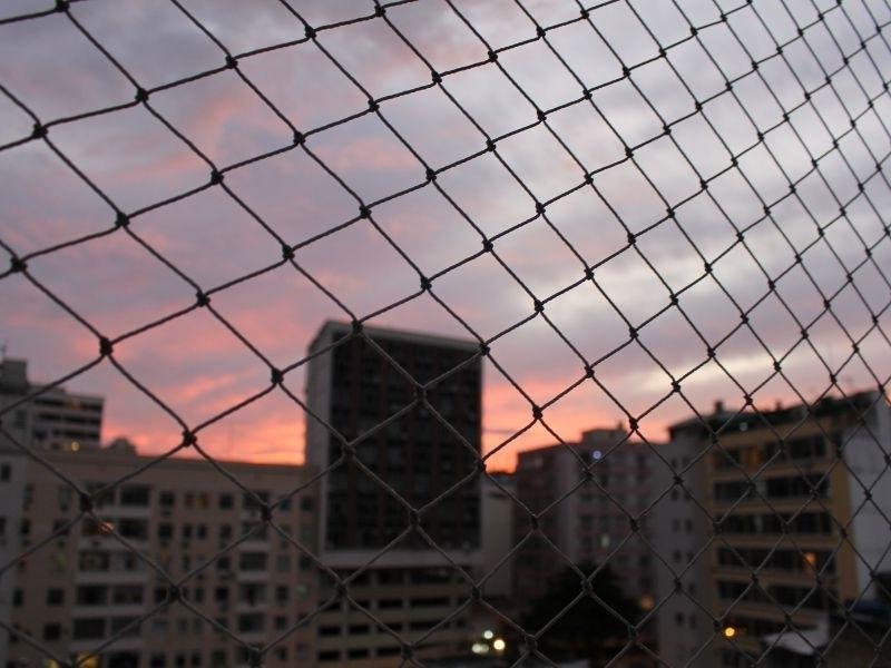 Proteja animais com rede residencial em Samambaia, Jundiaí