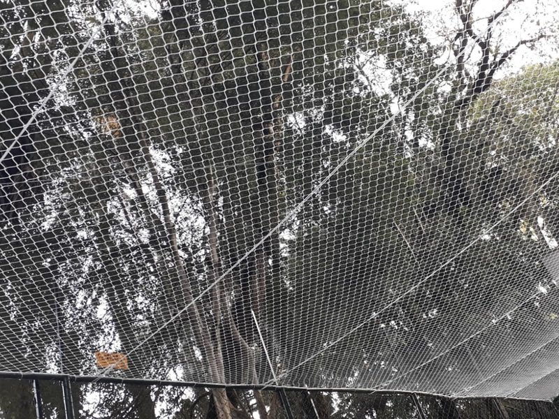 Rede de Proteção para Janelas Jundiaí Redes de Proteção Jundiaí